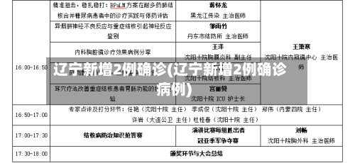 辽宁新增2例确诊(辽宁新增2例确诊病例)-第1张图片