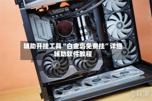 辅助开挂工具“白金岛免费挂	”详细辅助软件教程-第1张图片