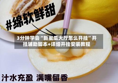 3分钟学会“新蜜瓜大厅怎么开挂”开挂辅助脚本+详细开挂安装教程-第1张图片