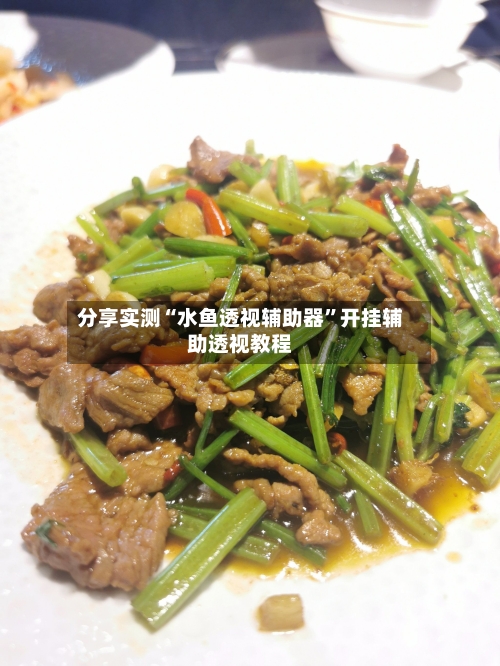 分享实测“水鱼透视辅助器”开挂辅助透视教程-第1张图片