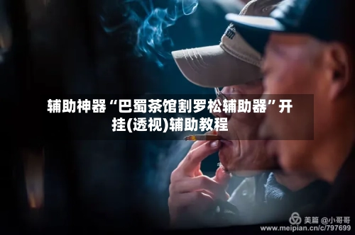 辅助神器“巴蜀茶馆割罗松辅助器”开挂(透视)辅助教程-第1张图片