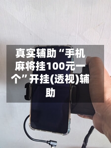 真实辅助“手机麻将挂100元一个	”开挂(透视)辅助-第2张图片