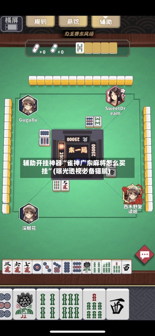 辅助开挂神器“雀神广东麻将怎么买挂”(曝光透视必备猫腻)-第3张图片