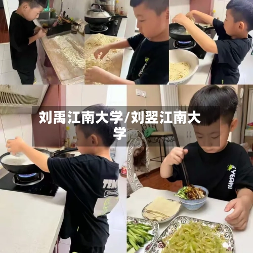 刘禹江南大学/刘翌江南大学-第2张图片