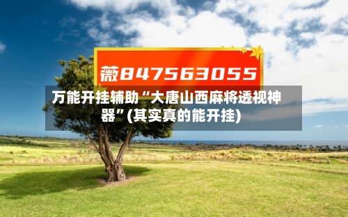 万能开挂辅助“大唐山西麻将透视神器	”(其实真的能开挂)-第2张图片