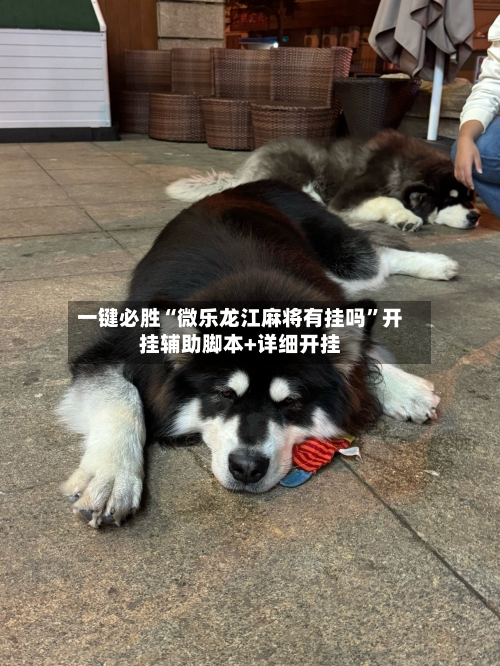 一键必胜“微乐龙江麻将有挂吗	”开挂辅助脚本+详细开挂-第1张图片