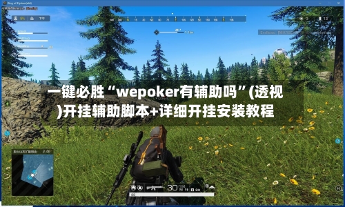 一键必胜“wepoker有辅助吗	”(透视)开挂辅助脚本+详细开挂安装教程-第2张图片