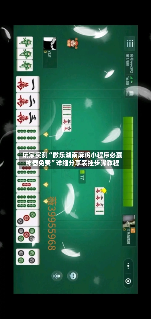 玩家实测“微乐湖南麻将小程序必赢神器免费	”详细分享装挂步骤教程-第1张图片