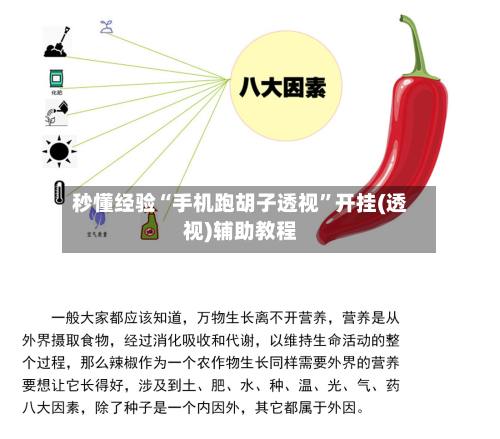 秒懂经验“手机跑胡子透视	”开挂(透视)辅助教程-第2张图片