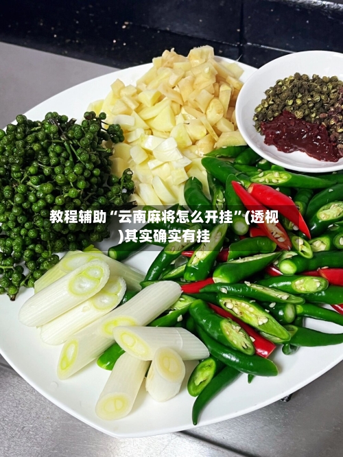 教程辅助“云南麻将怎么开挂”(透视)其实确实有挂-第3张图片