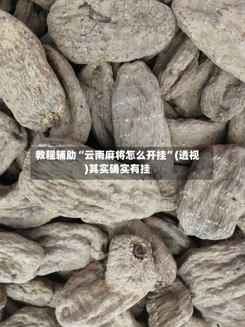 教程辅助“云南麻将怎么开挂	”(透视)其实确实有挂-第2张图片