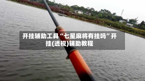 开挂辅助工具“七星麻将有挂吗”开挂(透视)辅助教程-第2张图片