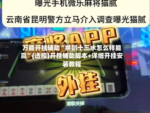 万能开挂辅助“拱趴十三水怎么样能赢”(透视)开挂辅助脚本+详细开挂安装教程-第3张图片