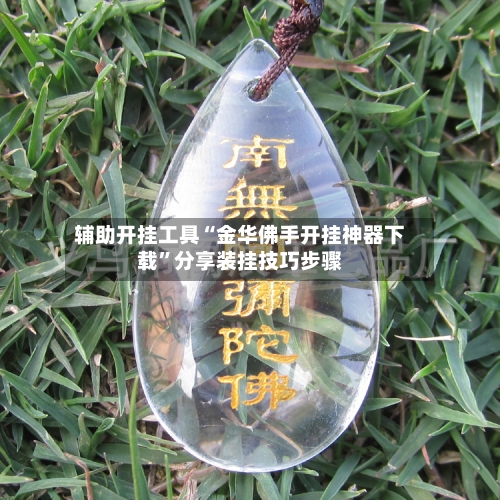 辅助开挂工具“金华佛手开挂神器下载	”分享装挂技巧步骤-第1张图片