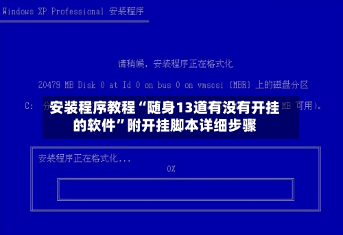 安装程序教程“随身13道有没有开挂的软件”附开挂脚本详细步骤-第1张图片