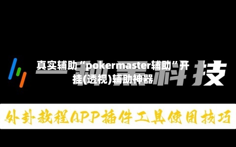 真实辅助“pokermaster辅助”开挂(透视)辅助神器-第3张图片