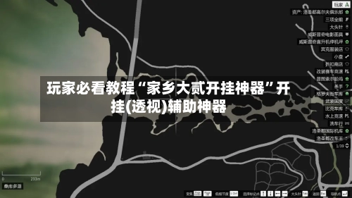 玩家必看教程“家乡大贰开挂神器	”开挂(透视)辅助神器-第1张图片