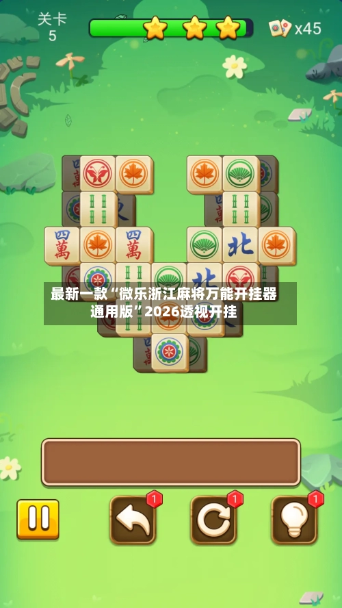 最新一款“微乐浙江麻将万能开挂器通用版”2026透视开挂-第1张图片