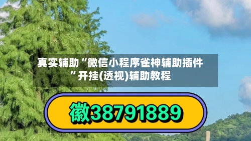 真实辅助“微信小程序雀神辅助插件	”开挂(透视)辅助教程-第2张图片