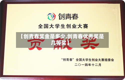 【创青春奖金是多少,创青春优秀奖是几等奖】-第1张图片
