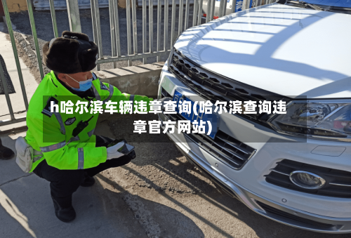 h哈尔滨车辆违章查询(哈尔滨查询违章官方网站)-第2张图片