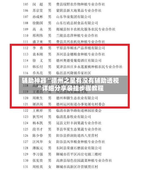 辅助神器“德州之星有没有辅助透视	”详细分享装挂步骤教程-第1张图片