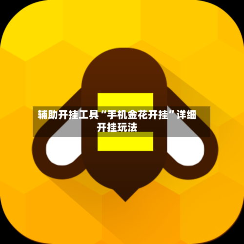 辅助开挂工具“手机金花开挂”详细开挂玩法-第1张图片