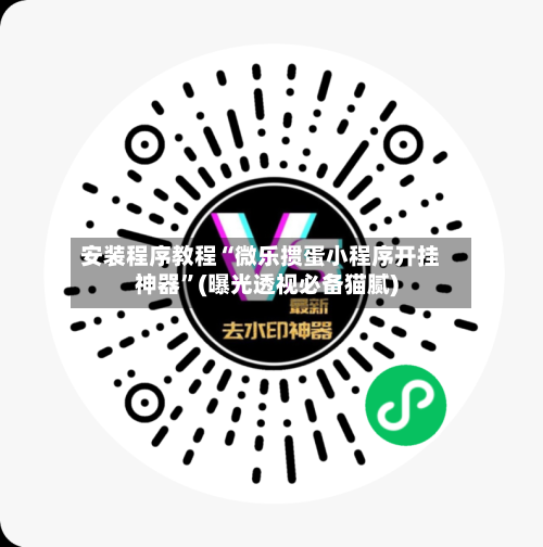 安装程序教程“微乐掼蛋小程序开挂神器”(曝光透视必备猫腻)-第1张图片