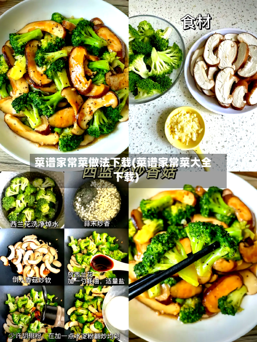 菜谱家常菜做法下载(菜谱家常菜大全下载)-第2张图片