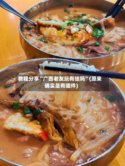 教程分享“广西老友玩有挂吗	”(原来确实是有插件)-第2张图片