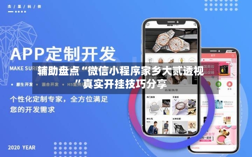 辅助盘点“微信小程序家乡大贰透视	”真实开挂技巧分享-第1张图片