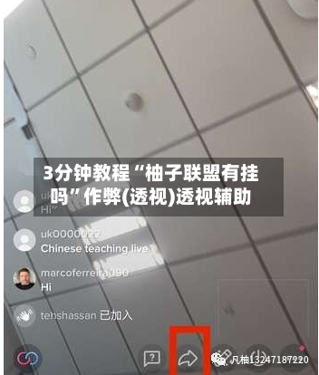 3分钟教程“柚子联盟有挂吗	”作弊(透视)透视辅助-第2张图片