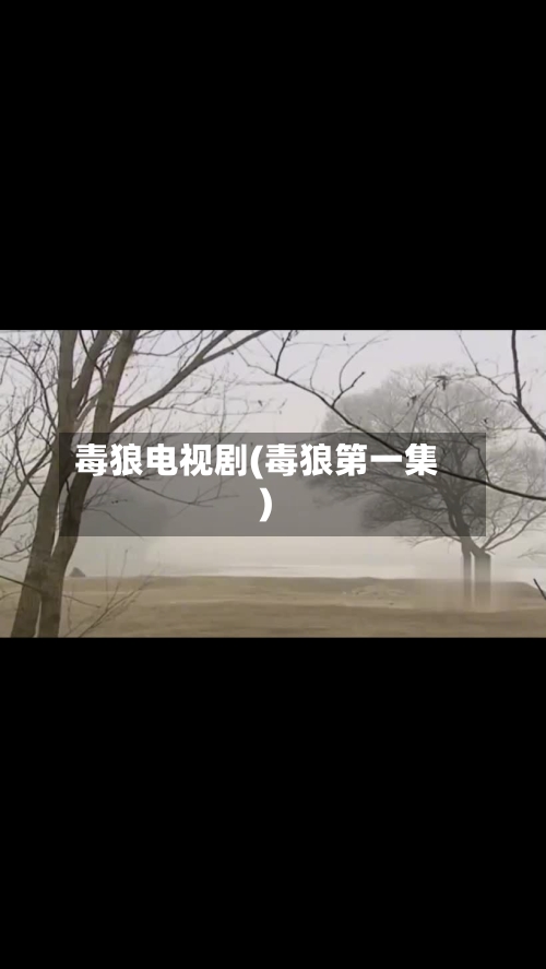 毒狼电视剧(毒狼第一集)-第1张图片