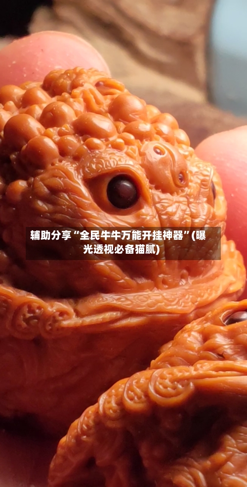 辅助分享“全民牛牛万能开挂神器”(曝光透视必备猫腻)-第3张图片