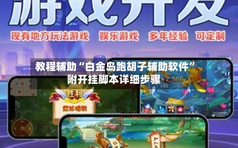 教程辅助“白金岛跑胡子辅助软件	”附开挂脚本详细步骤-第2张图片