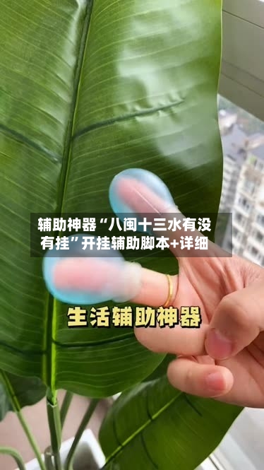 辅助神器“八闽十三水有没有挂”开挂辅助脚本+详细-第3张图片