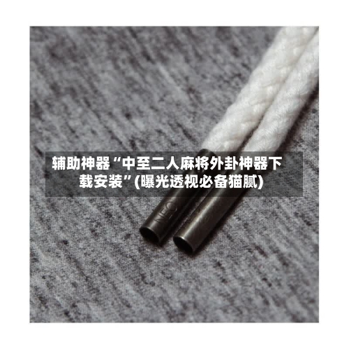 辅助神器“中至二人麻将外卦神器下载安装	”(曝光透视必备猫腻)-第1张图片