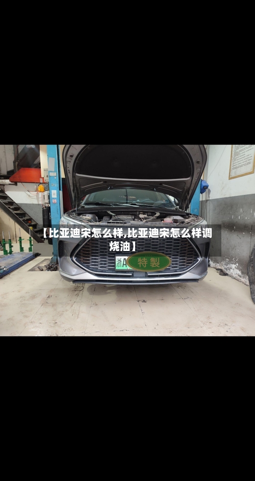 【比亚迪宋怎么样,比亚迪宋怎么样调烧油】-第1张图片