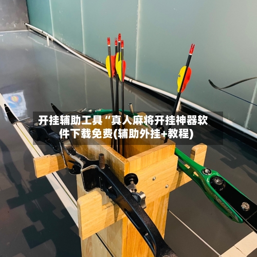 开挂辅助工具“真人麻将开挂神器软件下载免费(辅助外挂+教程)-第2张图片