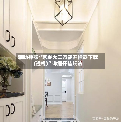 辅助神器“家乡大二万能开挂器下载(透视)”详细开挂玩法-第2张图片