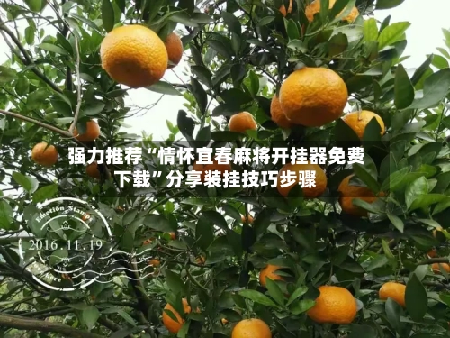 强力推荐“情怀宜春麻将开挂器免费下载”分享装挂技巧步骤-第2张图片