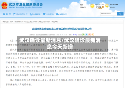 武汉确诊最新消息/武汉确诊最新消息今天新增-第1张图片