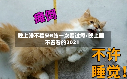 晚上睡不着来B站一次看过瘾/晚上睡不着看的2021-第2张图片