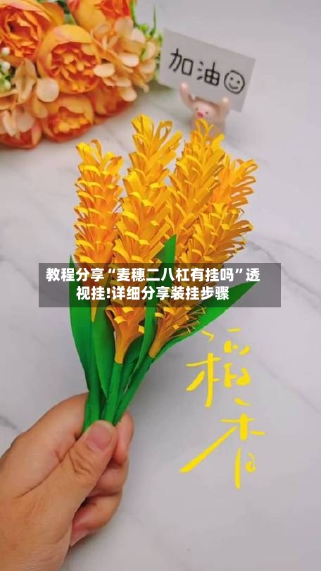 教程分享“麦穗二八杠有挂吗	”透视挂!详细分享装挂步骤-第1张图片