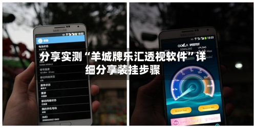 分享实测“羊城牌乐汇透视软件	”详细分享装挂步骤-第1张图片