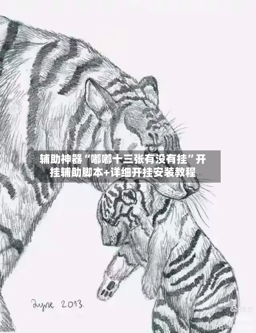 辅助神器“嘟嘟十三张有没有挂”开挂辅助脚本+详细开挂安装教程-第2张图片