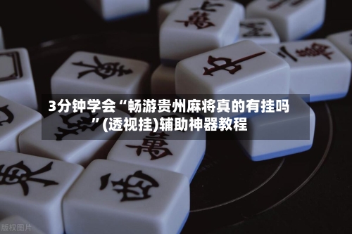 3分钟学会“畅游贵州麻将真的有挂吗	”(透视挂)辅助神器教程-第2张图片