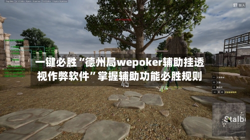 一键必胜“德州局wepoker辅助挂透视作弊软件”掌握辅助功能必胜规则-第1张图片