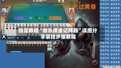 指定教程“微乐掼蛋记牌器	”详细分享装挂步骤教程-第1张图片