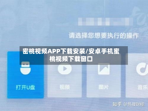 密桃视频APP下载安装/安卓手机蜜桃视频下载窗口-第2张图片